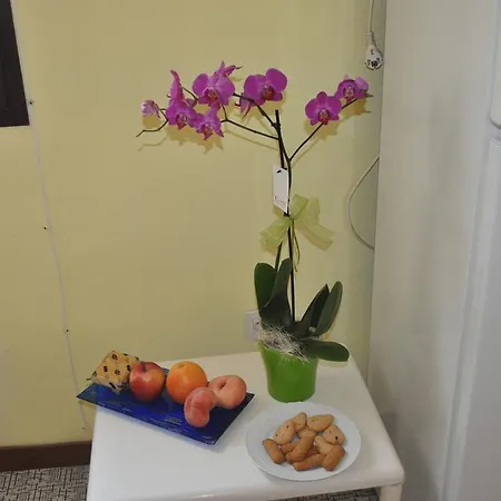 Bilocale Milu - Milu Holidays * لا ماداّلينا